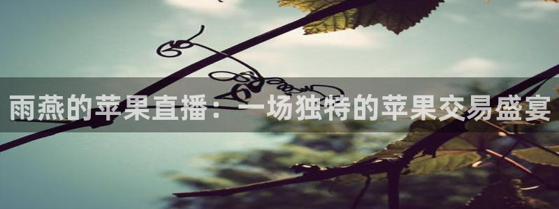 nba球神直播在线观看