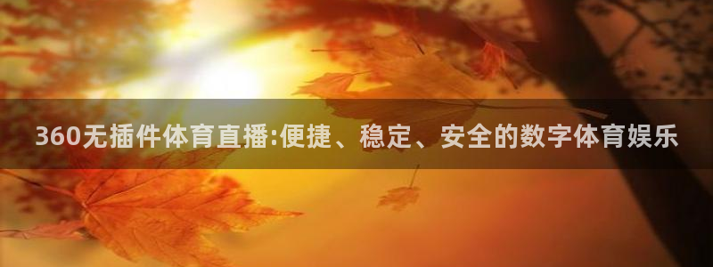 球神直播体育：360无插件体育直播:便捷、稳定、安全的数字体育娱乐